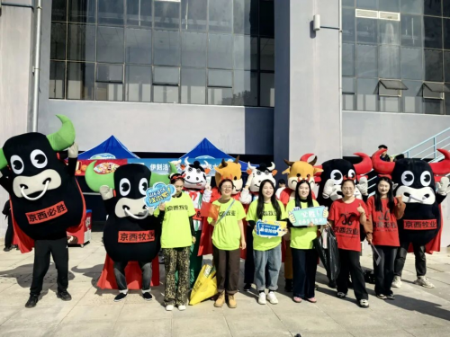 同构成了内 同构成了内